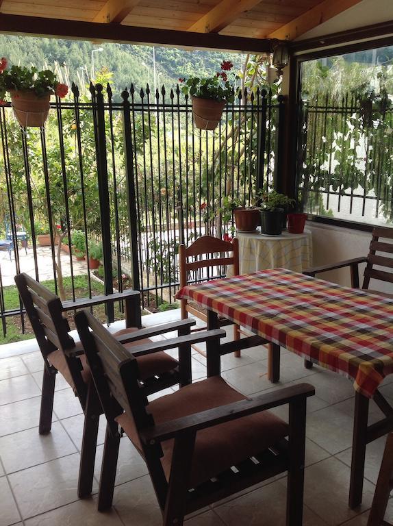איגומניטסה Holiday Zigos מראה חיצוני תמונה