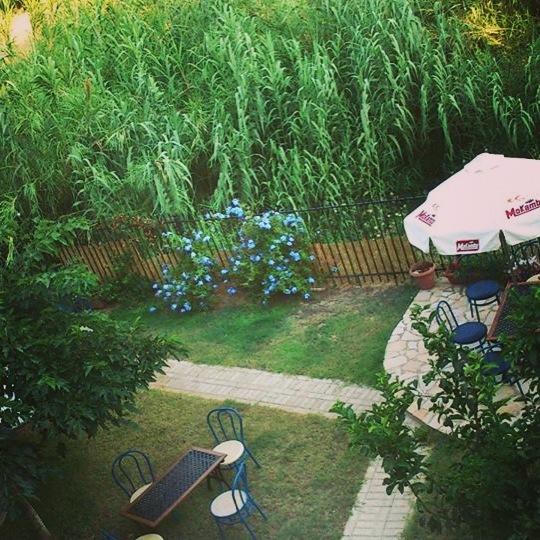 איגומניטסה Holiday Zigos מראה חיצוני תמונה
