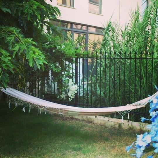 איגומניטסה Holiday Zigos מראה חיצוני תמונה